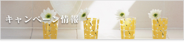キャンペーン情報